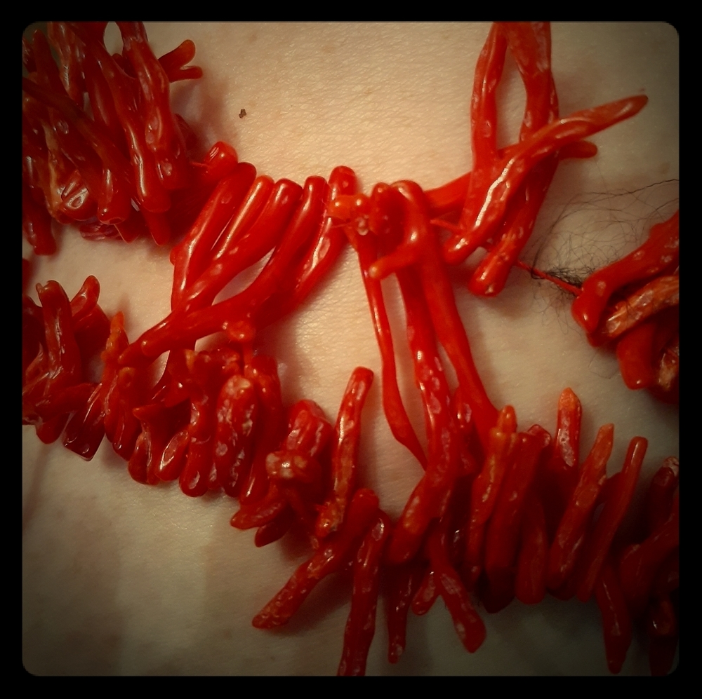 Strand of Redcoral staffs